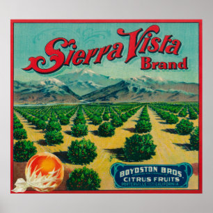 Sierra Vista Brand Citrus Crate Label Poster