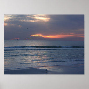 Siesta Key Sunsets Poster