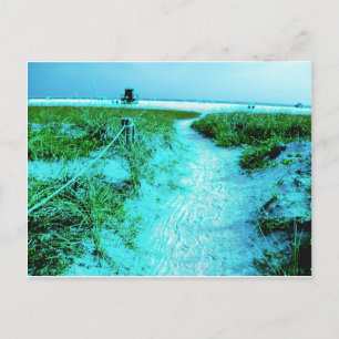 Siesta Keys Beach in Coloured Edges Themed Gifts Postcard