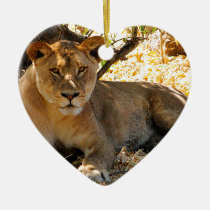 Siesta Time Ceramic Tree Decoration