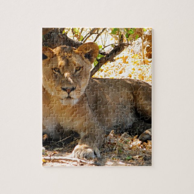 Siesta Time Jigsaw Puzzle (Vertical)