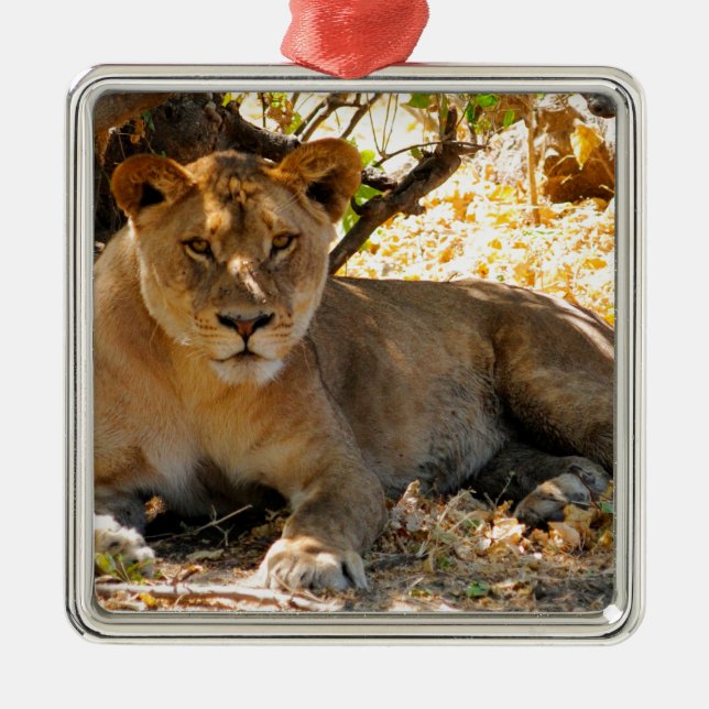Siesta Time Metal Tree Decoration (Front)