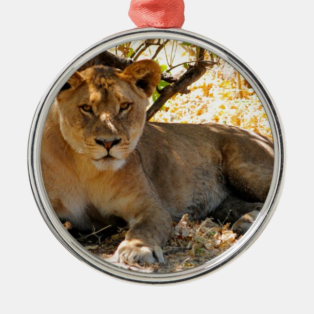 Siesta Time Metal Tree Decoration (Front)