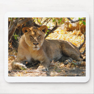 Siesta Time Mouse Mat