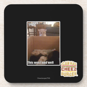 sigh coaster