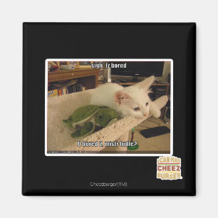 Sigh. Iz bored Magnet