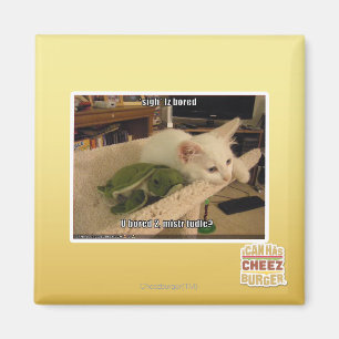 Sigh. Iz bored Magnet