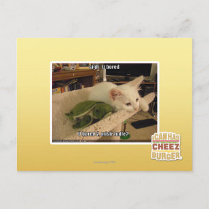 Sigh. Iz bored Postcard