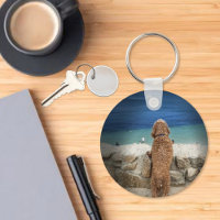 Sight Seeing Dog on the Beach