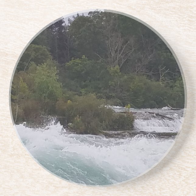 Sightseeing at Niagara Falls Coaster (Front)
