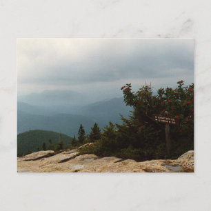 Sign on New Hampshire Mountain Postcard