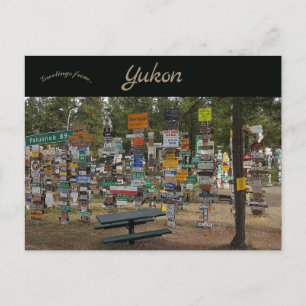 Sign Post Forest Watson Lake Yukon Canada Postcard