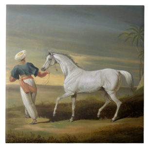 Signal, a grey Arab, with a Groom in the Desert (o Tile