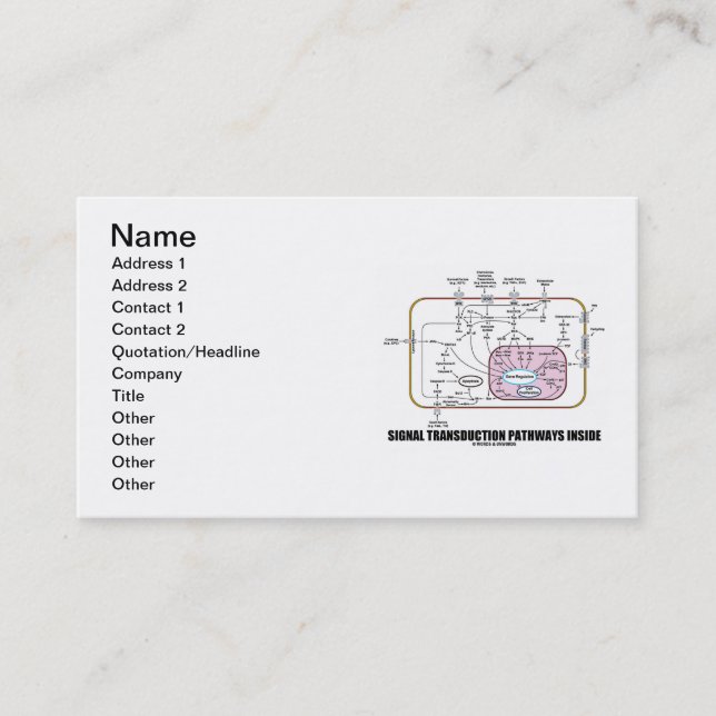 Signal Transduction Pathways Inside (Cell Biology) Business Card (Front)