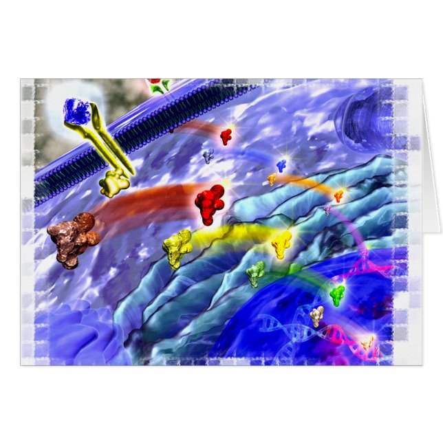 Signalling land card (Front Horizontal)