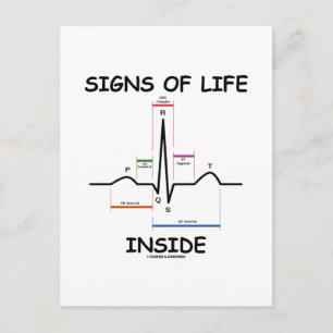 Signs Of Life Inside (ECG/EKG Heartbeat) Postcard