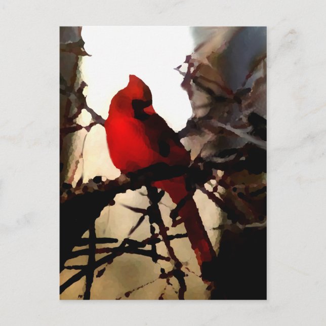 Signs Of Spring Postcard (Front)