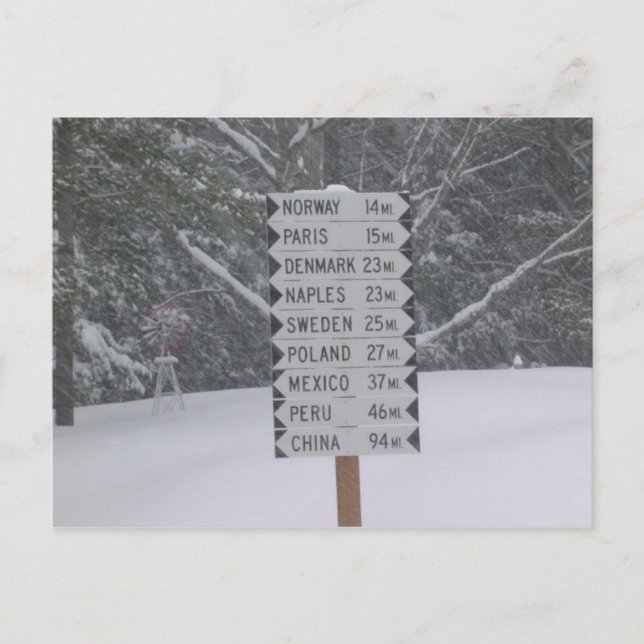 Signs Postcard (Front)