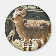 Sika Deer マグネット