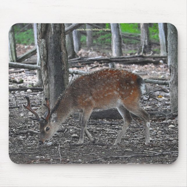 Sika Deer Buck Animal Wildlife Photo Mouse Mat (Front)