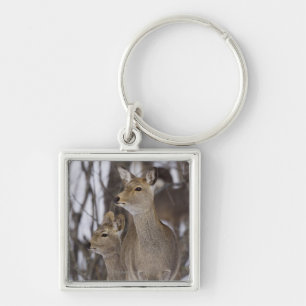 Sika Deer Doe and Young, Hokkaido, Japan Key Ring