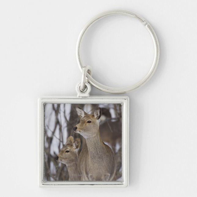 Sika Deer Doe and Young, Hokkaido, Japan Key Ring (Front)