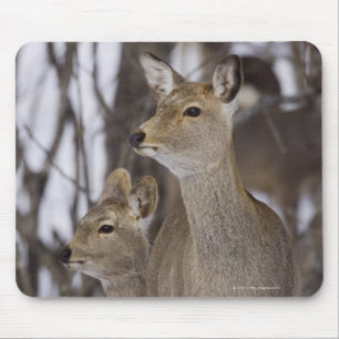 Sika Deer Doe and Young, Hokkaido, Japan Mouse Mat