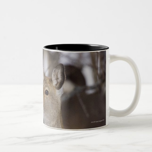 Sika Deer Doe and Young, Hokkaido, Japan Two-Tone Coffee Mug (Right)