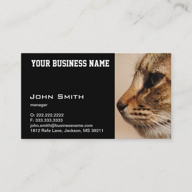 Silent Cat business card (Front)