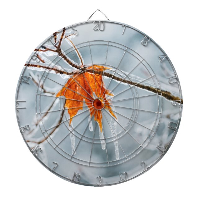 silent choice dartboard (Front)