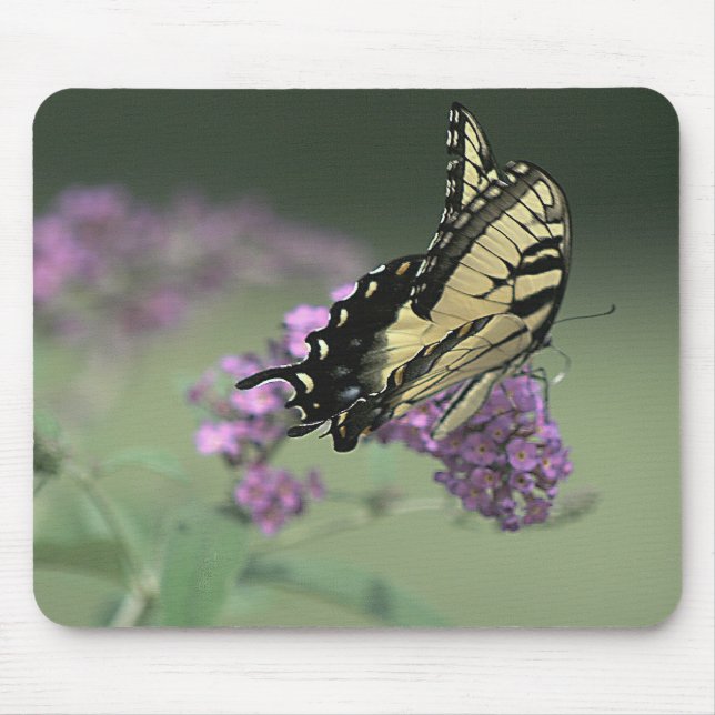 Silent Flight Mouse Mat (Front)