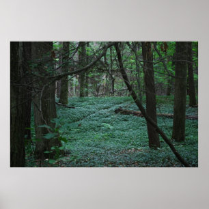 Silent Forest Poster