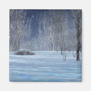 Silent Light Magnet