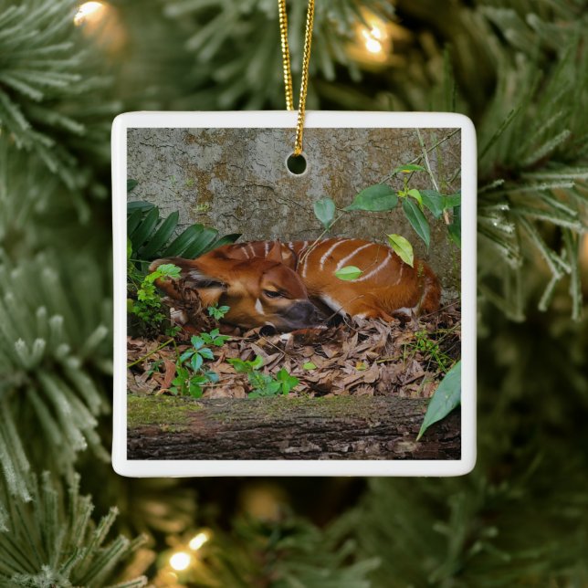 Silent Night Mountain Bongo Antelope Calf Ceramic Ornament (Tree)