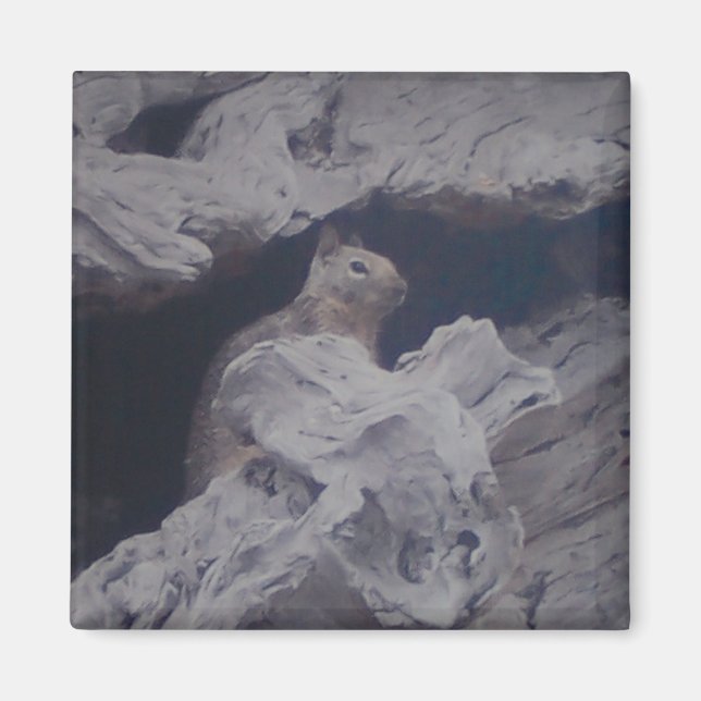 Silent Observer Magnet (Front)