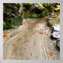 Silent Passage — Japanese Wabi-Sabi Photo Poster