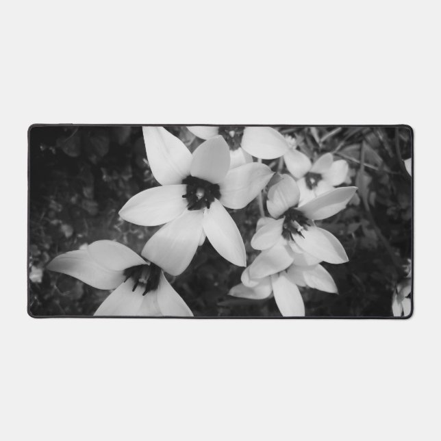 Silent Symmetry Desk Mat (Front)