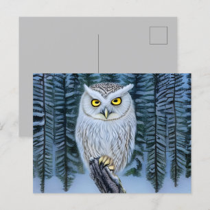 Silent Watch - Northern Winter Woods Gray Owl Postcard