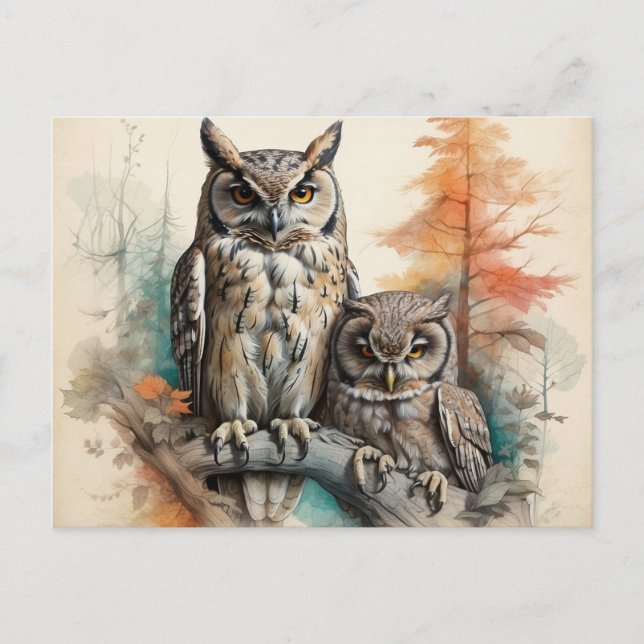 Silent Watchers of the Forest Postcard (Front)