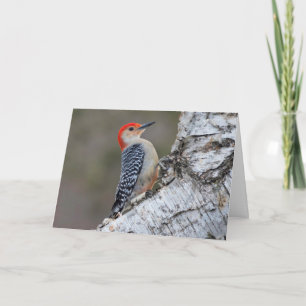 Silent wonders blank greeting card