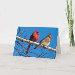 Silent Wonders Blank Greeting Card Cardinals