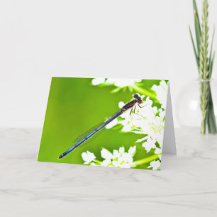 Silent wonders blank greeting card Dragonfly