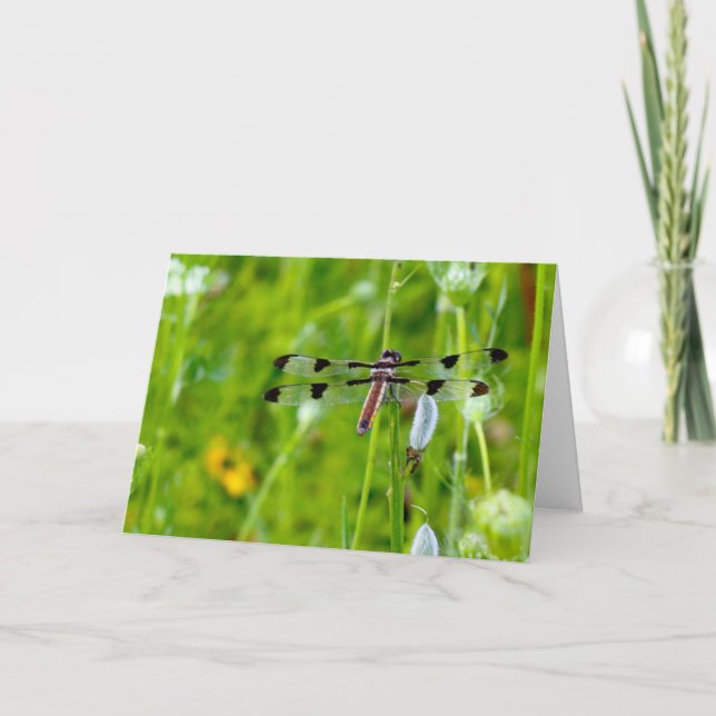 Silent wonders blank greeting card Dragonfly (Front)