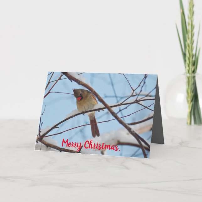 Silent Wonders Christmas Card Female Cardinal (Front)
