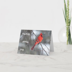 Silent Wonders Holiday  Greeting Card Cardinal