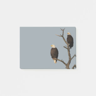 Silent Wonders Post It Notes Eagles