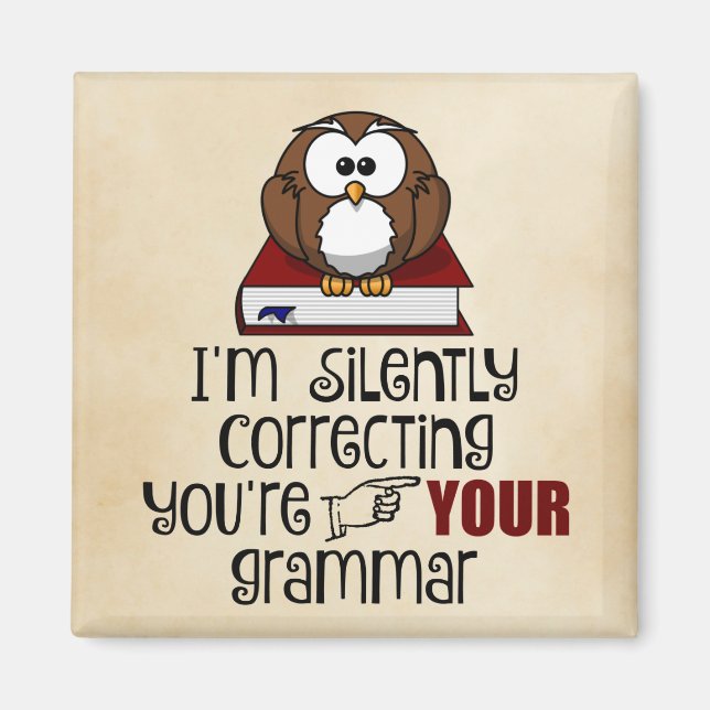 Silently Correcting Your Grammar Sarcastic Owl Magnet (Front)