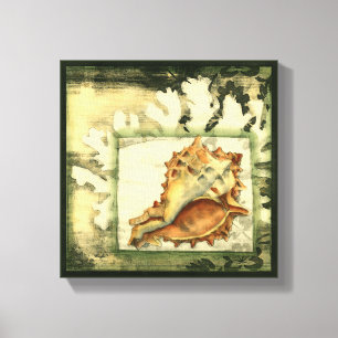 Silhouette Conch Shell Canvas Print