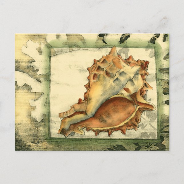 Silhouette Conch Shell Postcard (Front)