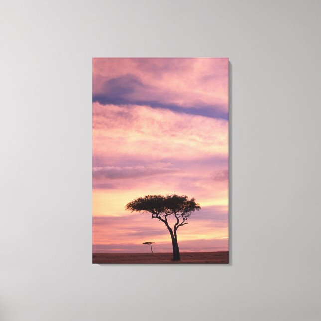 Silhouette image of acacia tree at sunrise canvas print (Front)